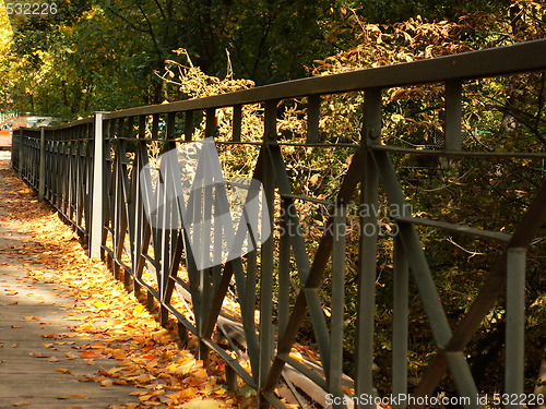 Image of fall bridge