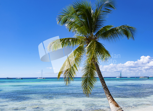 Image of Tropical Beach in Catuano, Dominican Republic