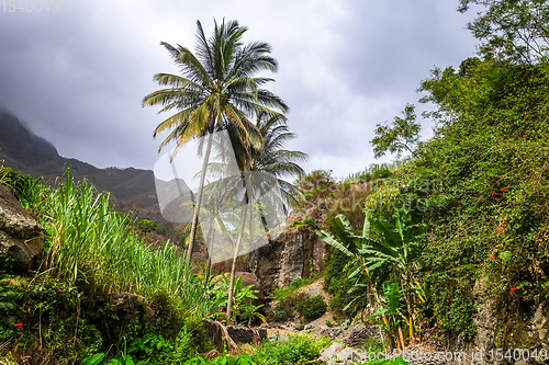 Image of Paul Valley landscape in Santo Antao island, Cape Verde