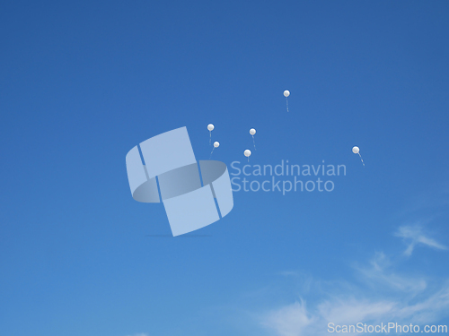 Image of Several white balloons on a blue almost cloudless sky