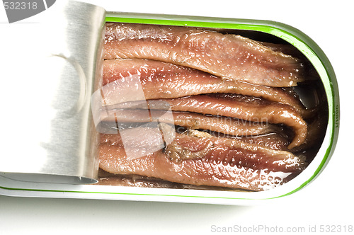 Image of flat fillets of anchovies in can