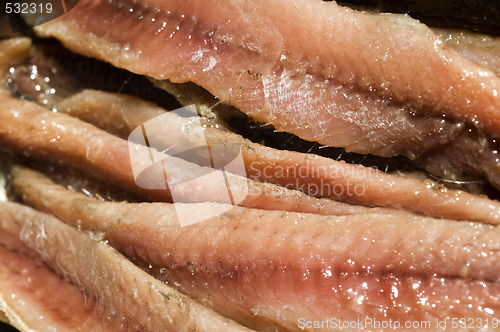 Image of flat fillets of anchovies