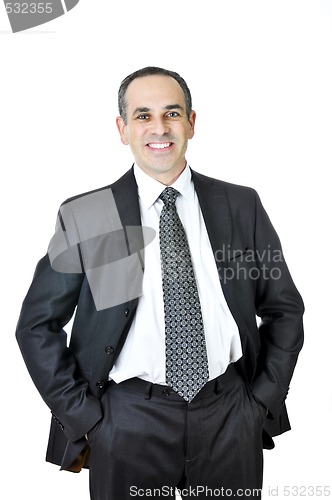 Image of Businessman on white background