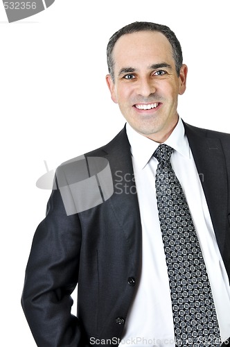 Image of Businessman on white background