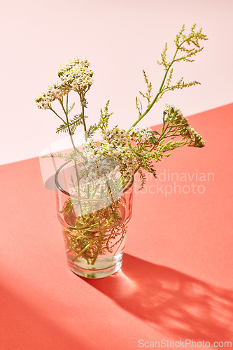 Image of glass of wild flowers
