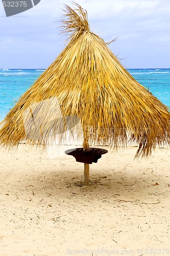 Image of Tropical beach umbrella