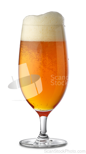 Image of glass of beer