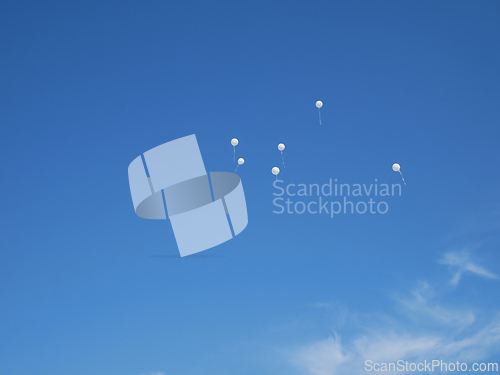 Image of Several white balloons on a blue almost cloudless sky