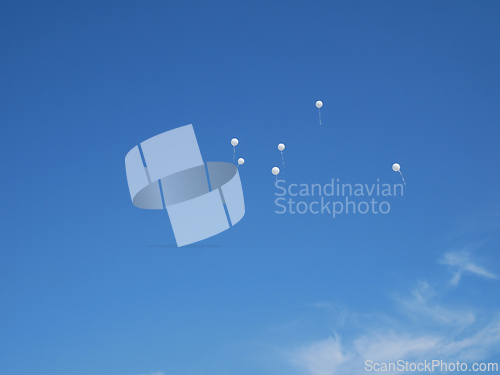 Image of Several white balloons on a blue almost cloudless sky