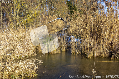 Image of lake at winter time