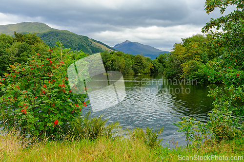 Image of Tranquil riverbank surrounded by lush greenery and distant mount