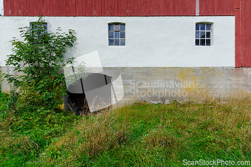 Image of A serene rustic landscape showcasing a red barn, overgrown grass