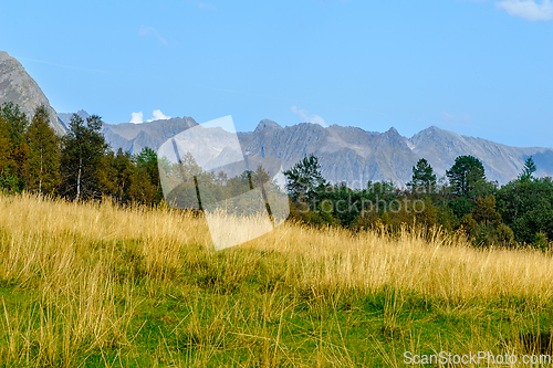 Image of Vast golden grassland stretches towards majestic mountains under