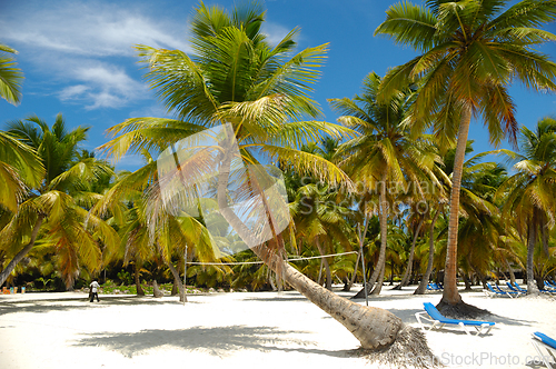 Image of Tropical beach. The Dominican Republic, Saona Island