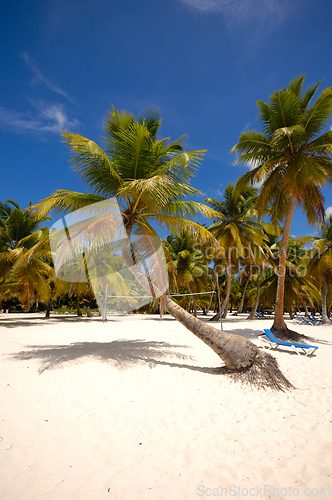 Image of Tropical beach. The Dominican Republic, Saona Island