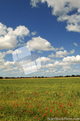 Image of Landscape with clouds