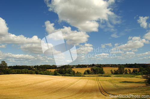 Image of Cornfield and clouds