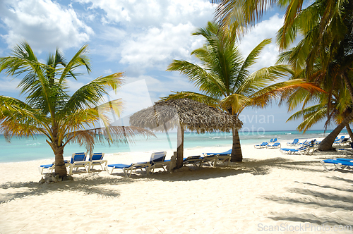 Image of Tropical beach. The Dominican Republic, Saona Island