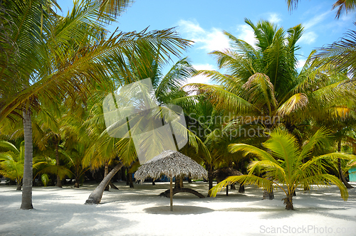 Image of Tropical beach. The Dominican Republic, Saona Island