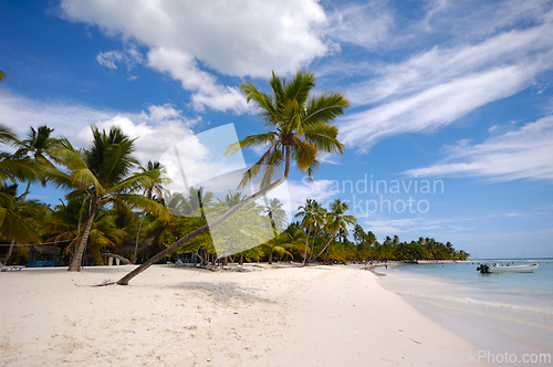 Image of Tropical beach. The Dominican Republic, Saona Island
