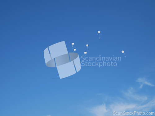 Image of Several white balloons on a blue almost cloudless sky