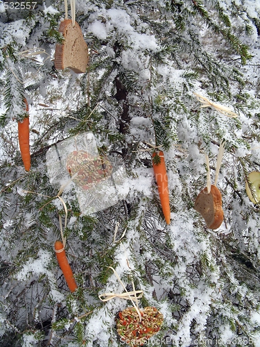 Image of Christmas - feeding additionally to wild animals