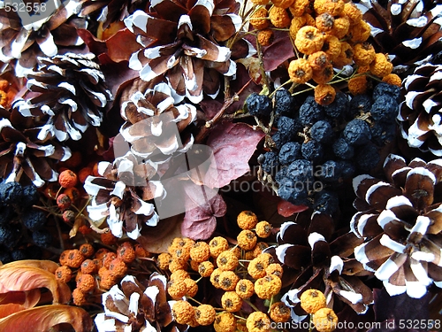 Image of Christmas decoration - dried berry and cones
