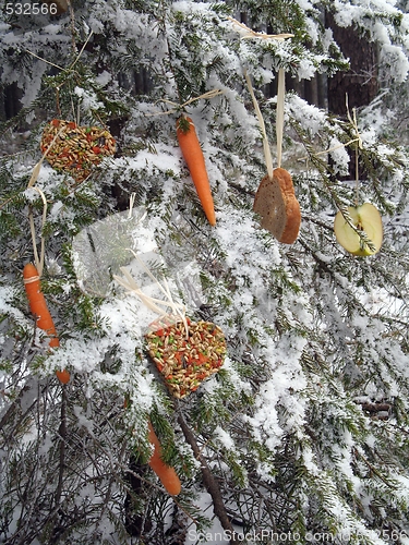 Image of Christmas - feeding additionally to wild animals