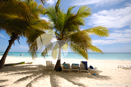 Image of Exotic beach. The Dominican Republic, Saona Island
