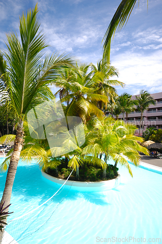 Image of Swimming pool with palm trees