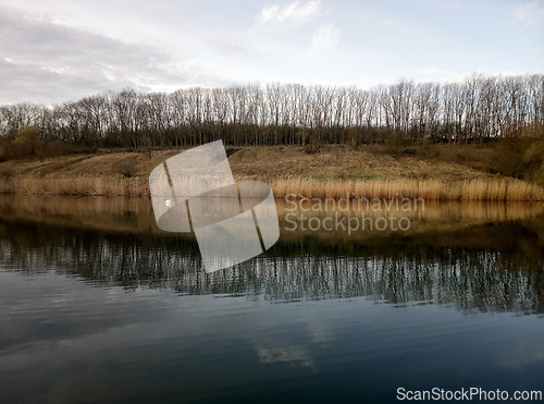 Image of lake of trees
