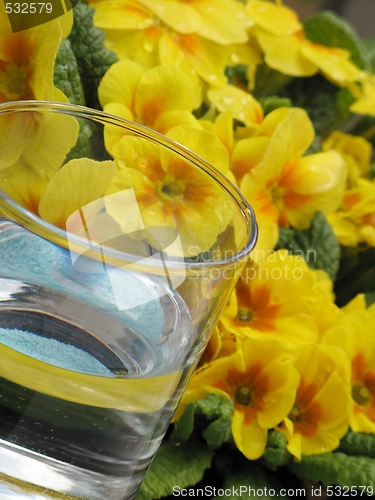 Image of Glass of water and primrose - detail