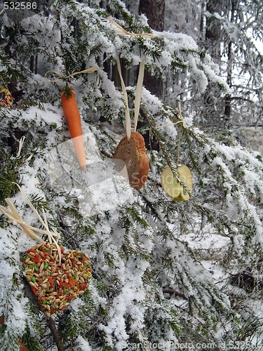 Image of Christmas - feeding additionally to wild animals