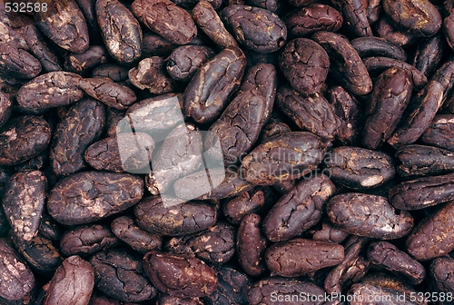 Image of Cocoa beans - background