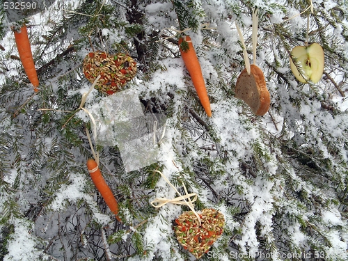 Image of Christmas - feeding additionally to wild animals