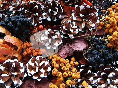 Image of Christmas decoration - dried berry and cones