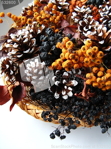 Image of Christmas decoration - dried berry and cones