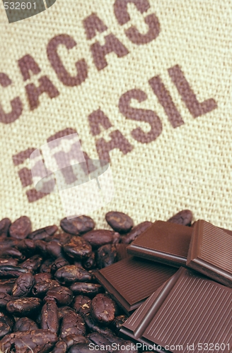 Image of Cacao beans and hessian