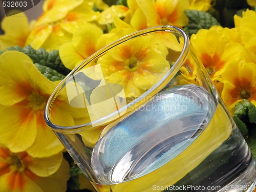 Image of Glass of water and primrose - detail