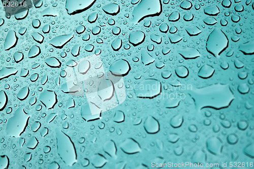 Image of Water Droplets