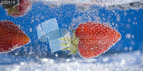 Image of Summer Berries