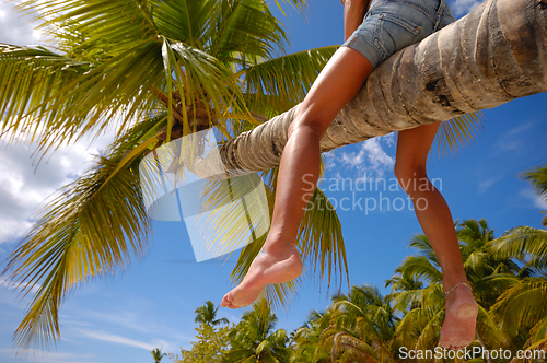 Image of Woman is sitting on a palm