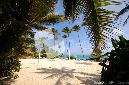 Image of Exotic beach with white sand and palms