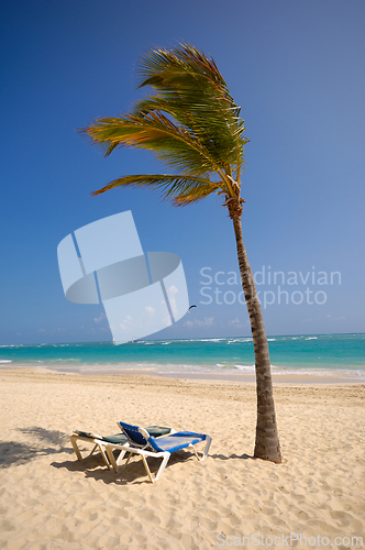 Image of A sun lounger and palm at exotic beach with white sand
