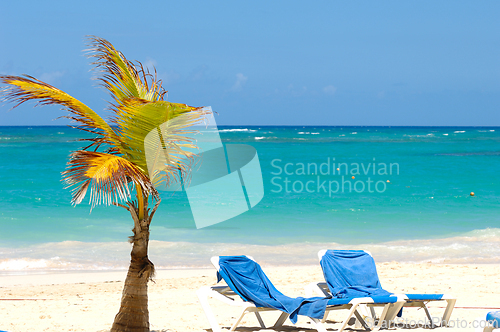 Image of A sun lounger and palm at exotic beach with white sand