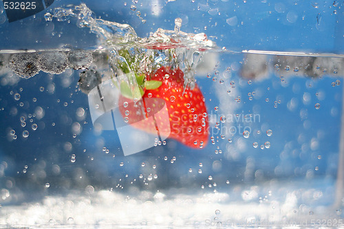 Image of Summer Berries Plunging