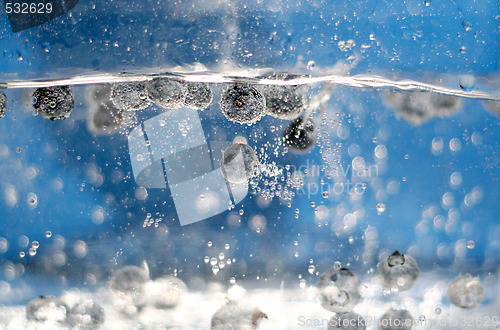 Image of Blueberries In Water