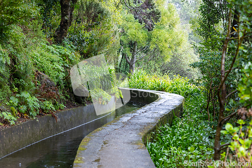 Image of beautiful Madeira landscape