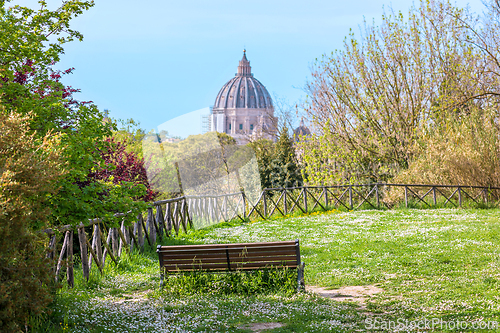Image of flowering meadow and a wooden bench