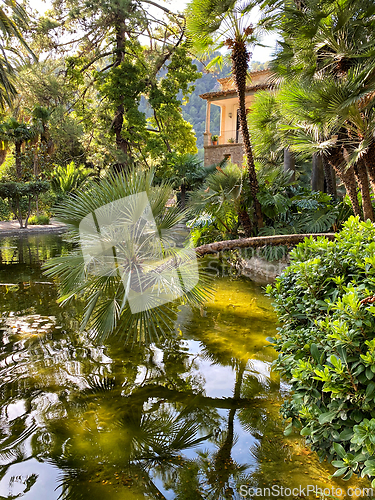 Image of beautiful garden in Mallorca